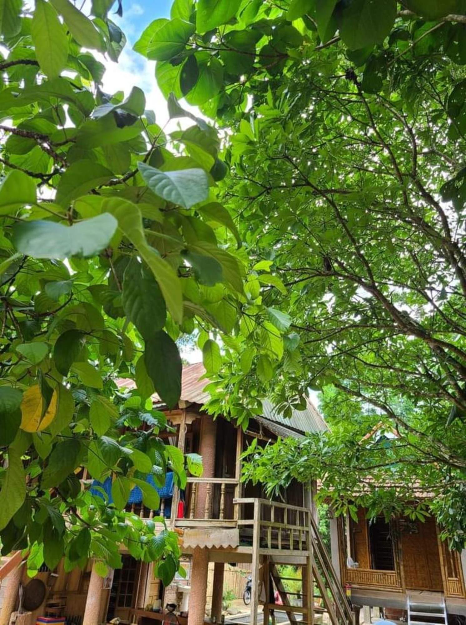Homestay Ho Son - Thac Anor A Luoi Εξωτερικό φωτογραφία